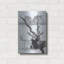 «Black Buck» par Barbara Keith-302720219