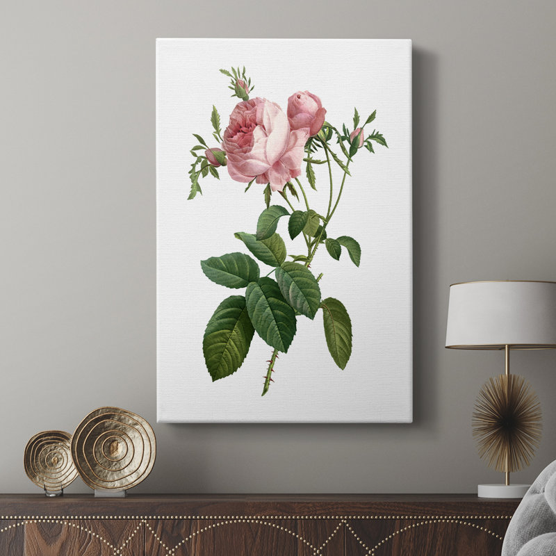 Botanical Beauty IV - Gallery Cavas, 18" H x 12" W
