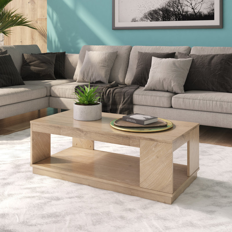 Table basse avec rangement Roybal, Chêne naturel