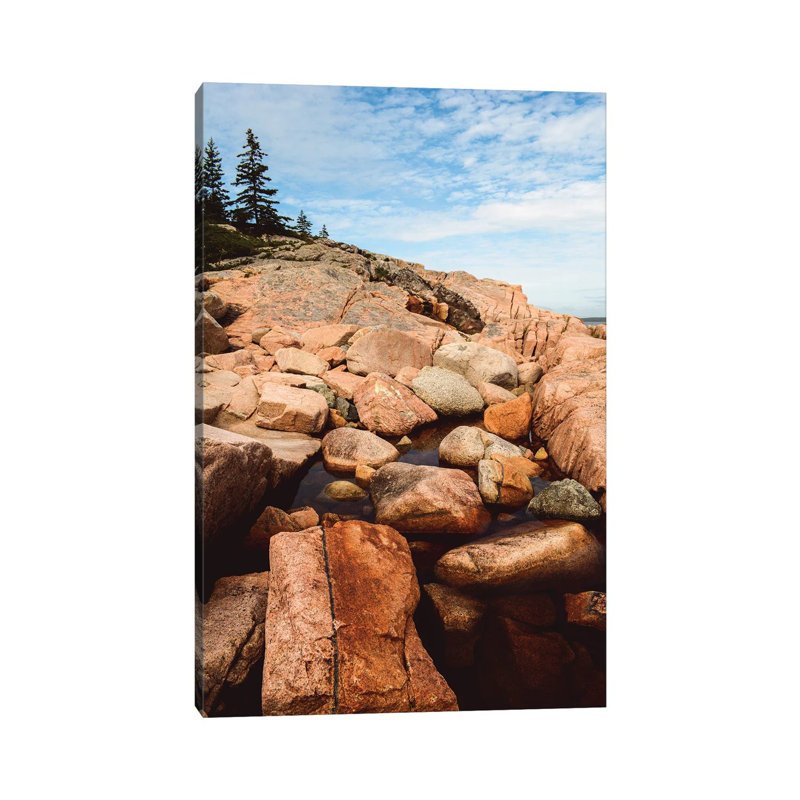 Coastal Life III by Olivia Joy StClaire - Wrapped Canvas Painting, 20.32 cm H x 30.48 cm W