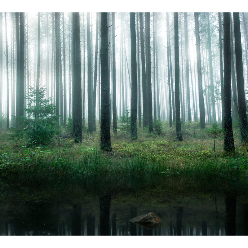 Wrapped Canvas Print, 50.8 cm H x 76.2 cm W