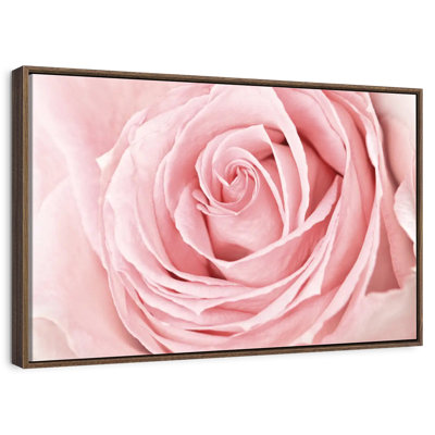 Fresh Pink Rose