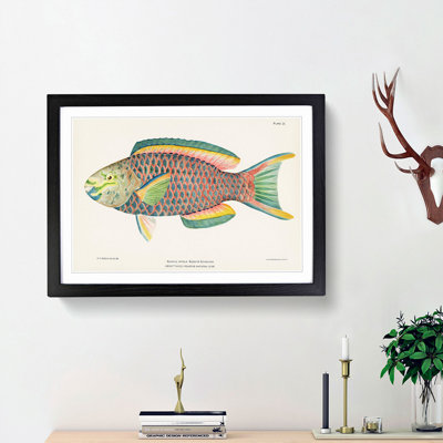 Tropical Fish by Henry Baldwin - Picture Frame Painting Print