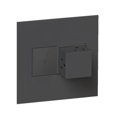 Adorne 15A 2-Gang Tamper-Resistant Pop-Out Outlet