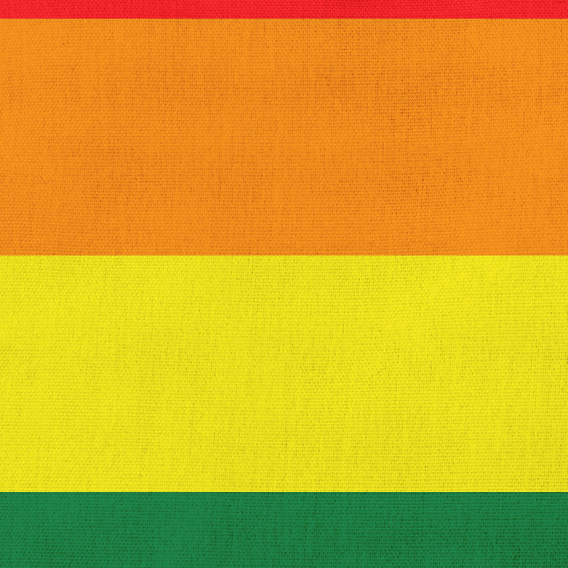 Striped Reversible Throw Pillow, Rainbow