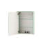 Sarah Surface Mirrored Bathroom Cabinets with Mirror and 2 Adjustable Shelves-2023635714-2144176948