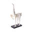 Handmade Ceramic Animals Statue-49397539-49455492