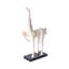 Statue avec base cheval-sabot-49397539-49455492