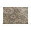 Wool Oriental Area Rug