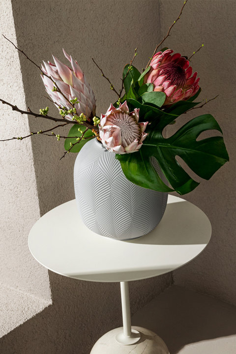 Vases and Décor