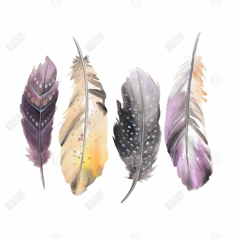 " Bohemian Feather Set "