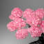 Custom - Genuine Rose Quartz Clustered Gemstone Tree On Amethyst Geode Matrix (The Love Tree)