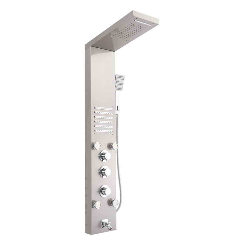 Panneau de douche 47,24 po avec pomme de douche fixe, Argent