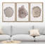 Anneau d'arbre, texture de bois brun, gros plan, décor neutre encadré sur toile, 3 pièces, art mural-91875149-91875150