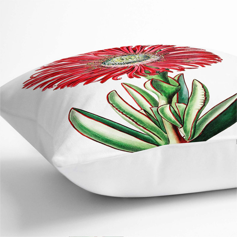 Square Throw Cushion, 55cm H x 55cm W x 20cm D, White