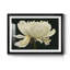 Aglow - Impression de cadre photo sur papier-318991476-318991477