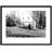 Lindfield, The Tudor Barn, Mill And Railway C1955 by Francis Frith - Single Picture Frame Print-51298600