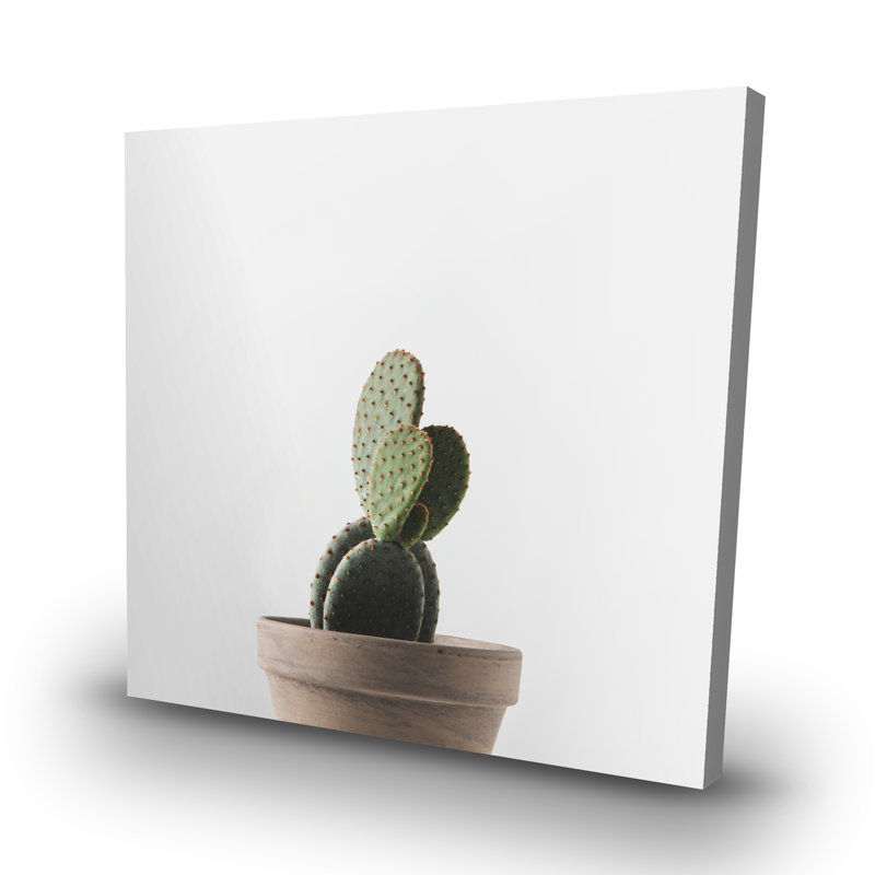 Potted cactus - 32"x32" art on canvas