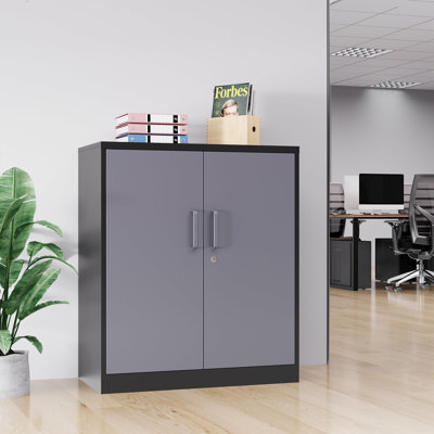 Armoire de rangement en acier H 35,4 po x l 31,5 po x P 15,7 po avec 2 tablettes réglables