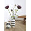 Vase en cadeau-86704329-86704333