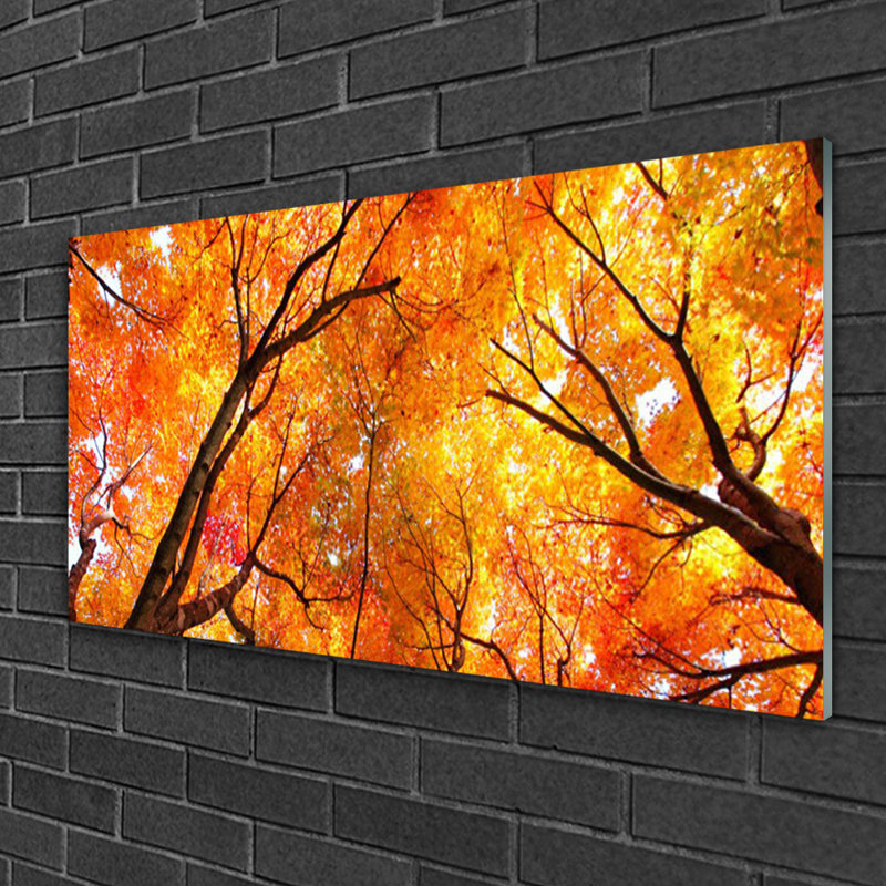 Nature Trees - Unframed Photograph on Glass