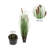 Artificial Potted Green Straight Grass and Cattails.-1471713626