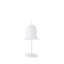 Lolita Table Lamp-10956404