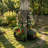 Metal Planter Box With Trellis, Fold Metal Raised Garden Bed, Tree Of Life Design, For Vine Climbing Plants, Flower
