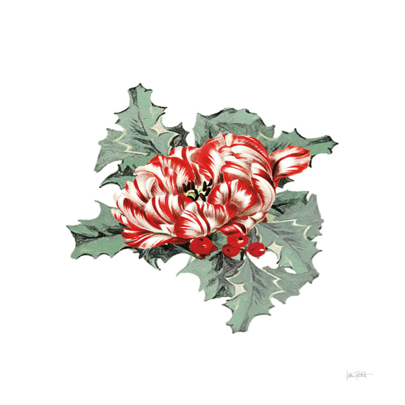 Farmhouse Christmas Floral IV, H 20 po x l 20 po, Non, Toile tendue