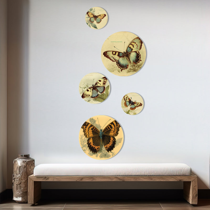 Vintage Illustration of Butterfly II - Animals Butterfly Metal Wall Décor