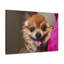 No Frame Print on Canvas-1730962539