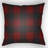 Plaid Indoor/Outdoor Throw Pillow-16137304-16137301