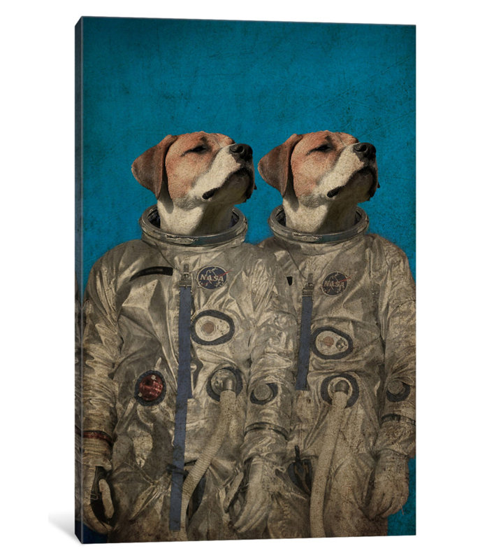 « voyage into outer space », impression sur toile, H 18 po x l 12 po x P 1,5 po, Pas de tapis, Toile tendue
