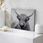 Portrait d'animaux sur fond blanc-93629438-93629442