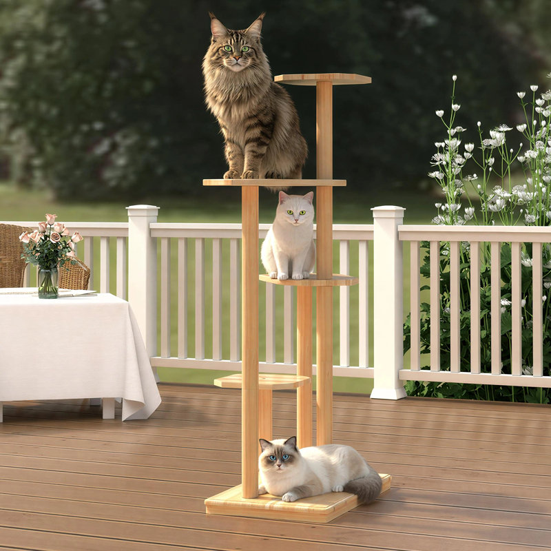Arbre à chat d'extérieur durable à 4 niveaux