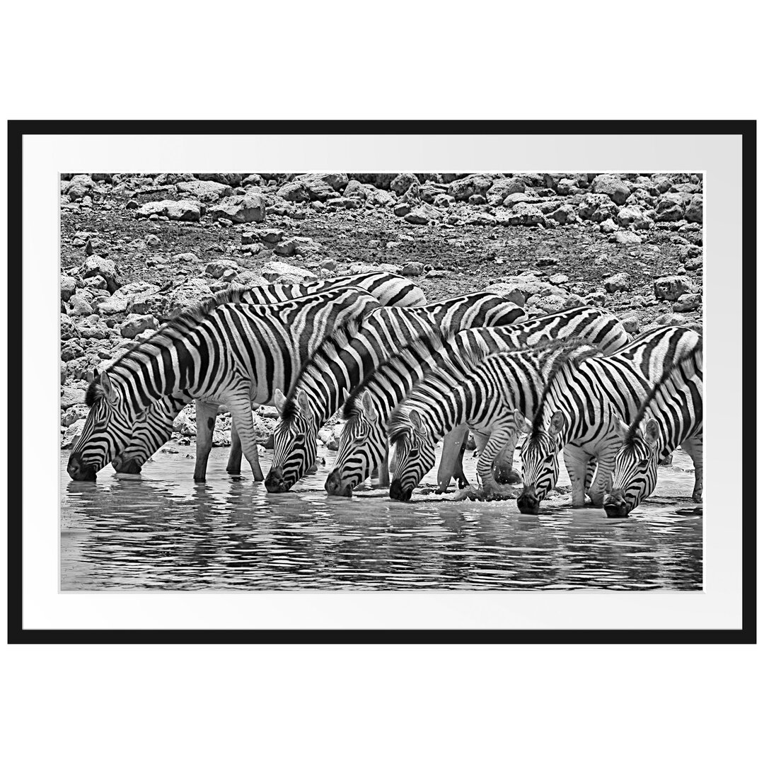 Gerahmtes Poster Zebraherde am Wasserloch