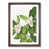 Walnut Framed