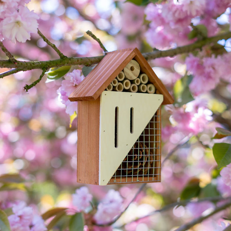 Hôtel pollinisateur d'insectes en bois à compartiments multiples