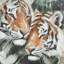 Cole et toile de tigre gris ombragé, art mural encadré de salon avec des accents verts