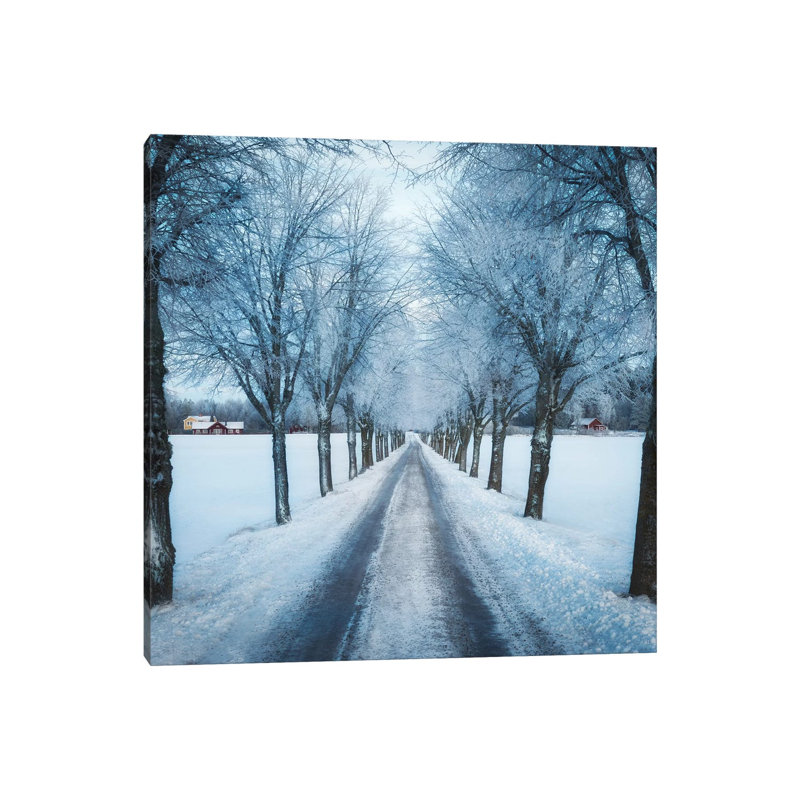 Swedish Winter by Christian Lindsten - Print on Canvas, 45.72cm H x 45.72cm W x 3.81cm D, Wrapped Canvas