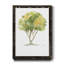 L’arbre I - Reproduction de cadre photo sur papier-1350331341-1350331336