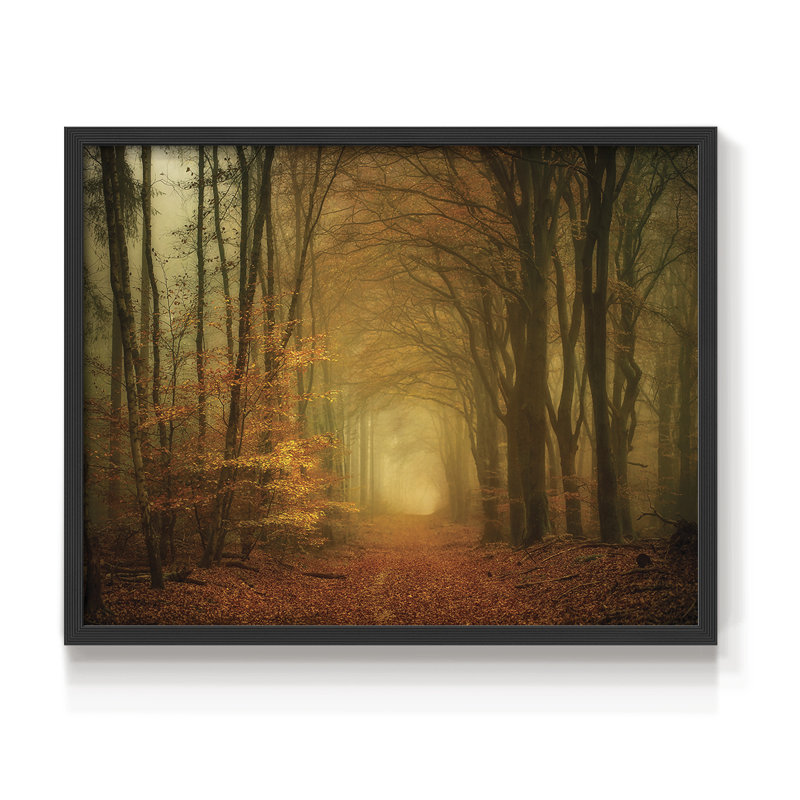 Early Light -Framed Print - Restickable