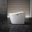 Neorest® Bidet Toilet-1061024758