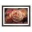 Pink Tipped Roses - Framed Print-55769799-55769802