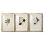 Imprimé floral rétro CLxxxi - impression encadrée sur mesure de qualité supérieure - 3 pièces-900380453-900380452