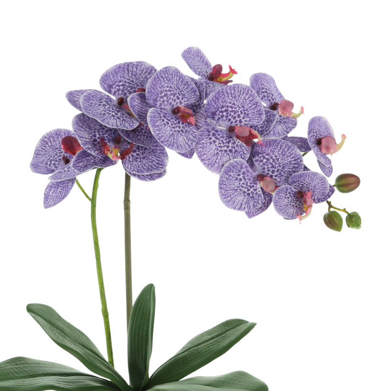 Silk Orchid Faux Floral in Pot, Purple