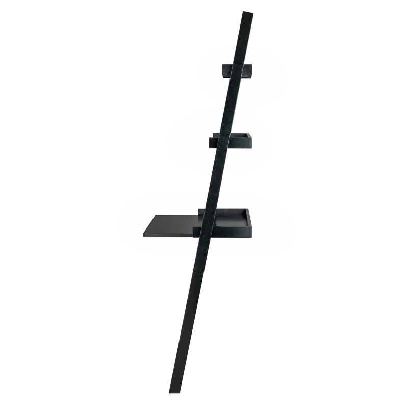 Danikka Ladder Bookcase