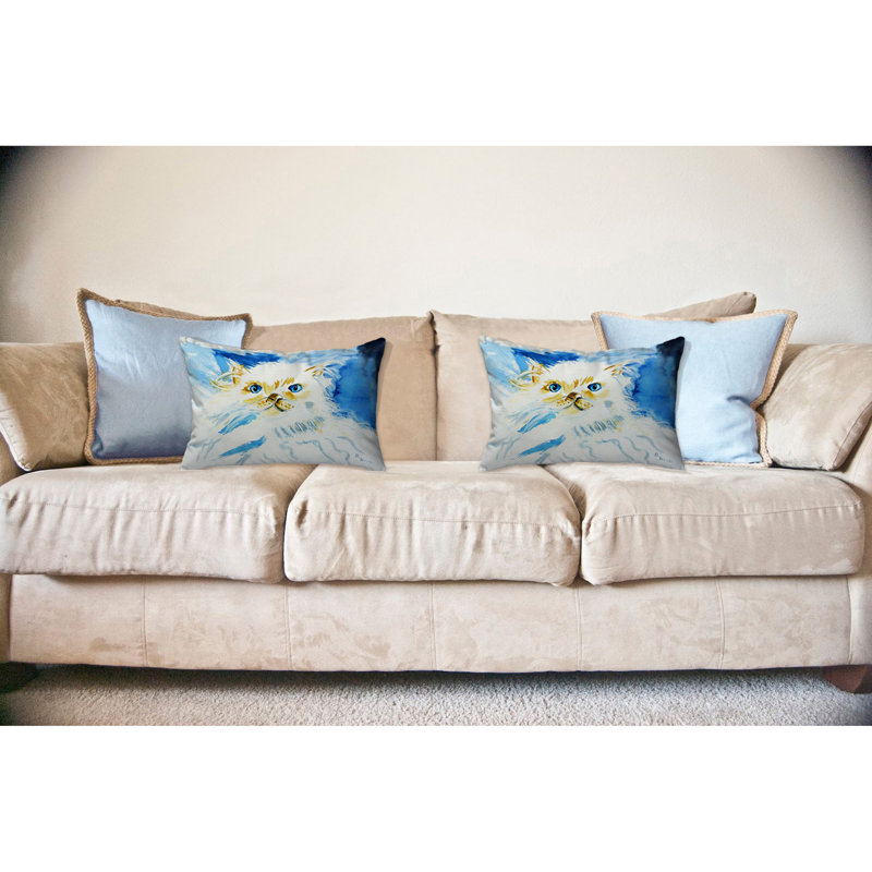  Coussin Junior / Cat, 16 po x 20 po