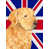 Golden retriever sélectionné