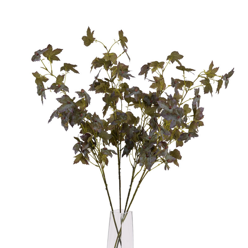 Anastasija Arrangement